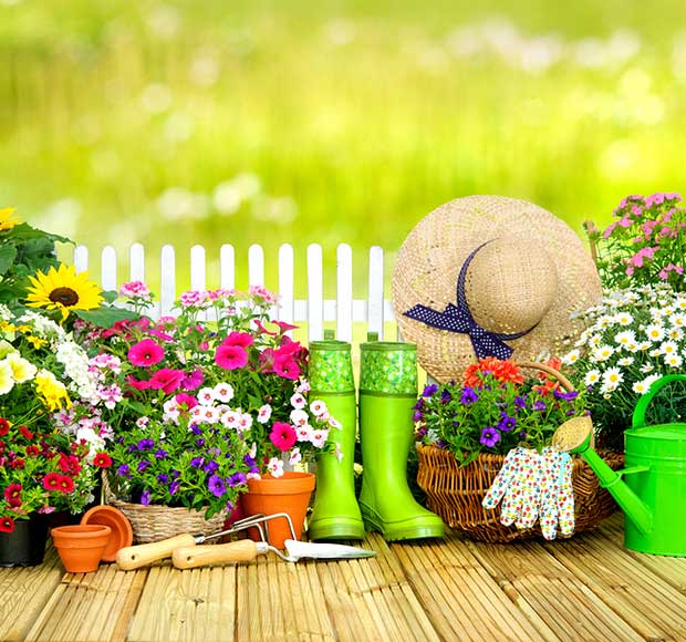 <span>Activity</span>Gardening